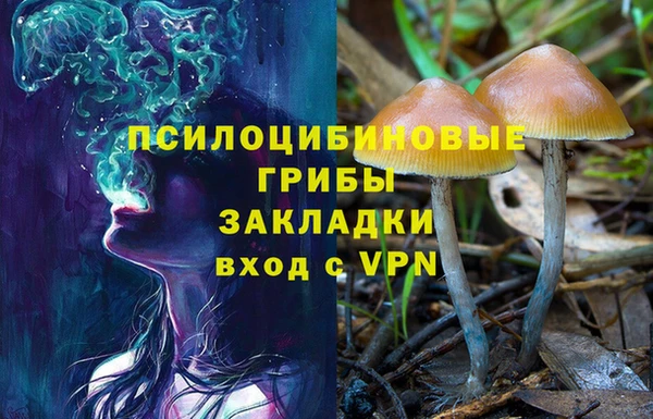 mdpv Сатка